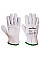 A260 Grey Oves Driver Glove