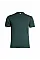 GR31 Bottle Green Eco T Shirt