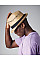 Natural Straw Summer Trilby