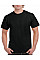 Black Adult T-Shirt