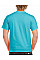 Lagoon Blue Adult T-Shirt