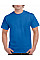 Sport Royal Adult T-Shirt