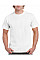 White Adult T-Shirt