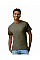 Olive Adult T-Shirt