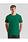 College Green Men's Iconic 195 Ring Spun Premium T