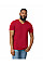 Cherry Red Softstyle® Adult V-Neck T-Shirt