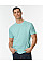 Teal Ice Softstyle EZ Adult T-shirt