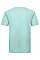 Aqua Men's T