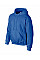 Royal DryBlend®  Adult Hooded Sweatshirt