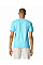 Sky Blue Softstyle Adult T-Shirt