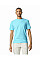 Sky Blue Softstyle Adult T-Shirt