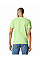 Pistachio Softstyle Adult T-Shirt