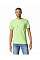 Pistachio Softstyle Adult T-Shirt