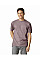 Paragon Softstyle Adult T-Shirt