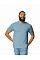 Stone Blue Softstyle Adult T-Shirt