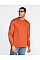 Safety Orange Ultra Cotton™ Adult Long Sleeve T-Shirt