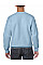 Light Blue Heavy Blend™ Adult Crewneck Sweatshirt