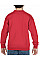 Red Heavy Blend™ Youth Crewneck Sweatshirt