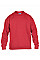 Red Heavy Blend™ Youth Crewneck Sweatshirt