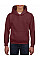 Maroon Heavy Blend™ Youth Hooded Sweatshirt