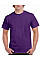 Purple Ultra Cotton™ Adult T-Shirt