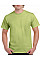 Pistachio Ultra Cotton™ Adult T-Shirt