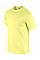 Cornsilk Ultra Cotton™ Adult T-Shirt