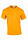 Gold Ultra Cotton™ Adult T-Shirt