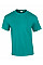 Jade Dome Ultra Cotton™ Adult T-Shirt