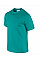 Jade Dome Ultra Cotton™ Adult T-Shirt