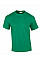 Kelly Green Ultra Cotton™ Adult T-Shirt