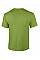 Kiwi Ultra Cotton™ Adult T-Shirt