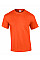 Orange Ultra Cotton™ Adult T-Shirt