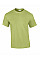 Pistachio Ultra Cotton™ Adult T-Shirt