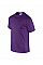 Purple Ultra Cotton™ Adult T-Shirt