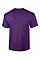 Purple Ultra Cotton™ Adult T-Shirt