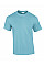 Sky Blue Ultra Cotton™ Adult T-Shirt