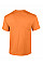 Tangerine Ultra Cotton™ Adult T-Shirt