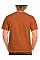 Texas Orange Ultra Cotton™ Adult T-Shirt