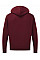 Burgundy UCC Everyday Hooded Sweat