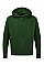 Bottle Green UCC Everyday Hooded Sweat