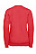 Bright Red Kids V-Neck Sweatshirt