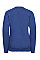 Bright Royal Kids V-Neck Sweatshirt