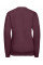 Burgundy Kids V-Neck Sweatshirt