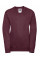 Burgundy Kids V-Neck Sweatshirt