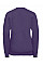 Purple Kids V-Neck Sweatshirt