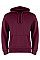 Burgundy Regular Fit Hoodie