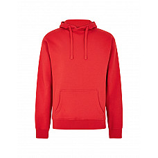 Red Regular Fit Hoodie