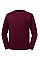 Burgundy Sweatshirt