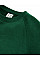 Bottle Green Kids Authentic Raglan Sweat